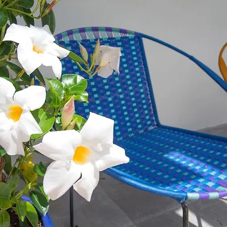Maison Du Sud, Grande Piscine Avec Cigales Hotell